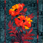 Oriental-Poppies-fibre-26x35-Judith-Panson