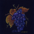 grapes-8x9-prismacolorjpg