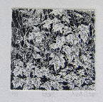 Leaves-4x4-etching